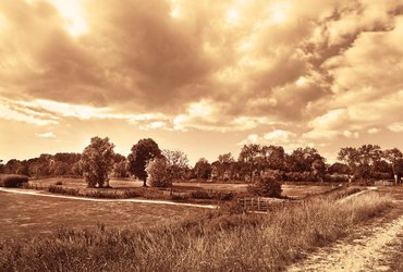 Country Lane Journal