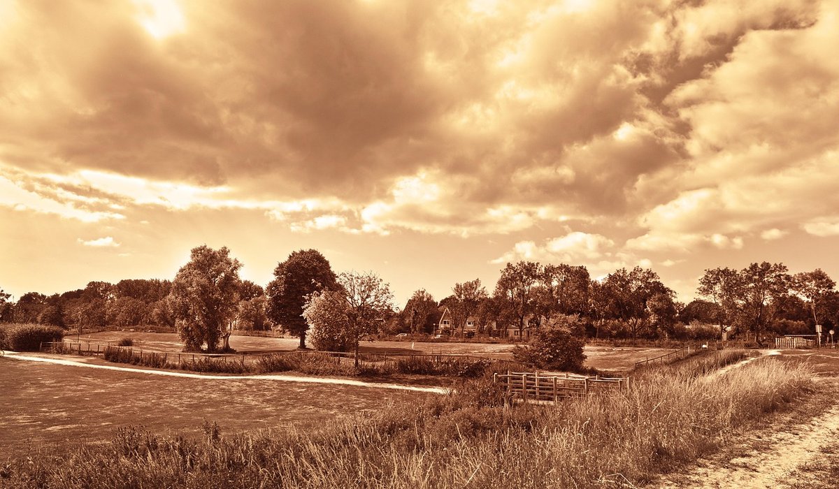 Country Lane Journal